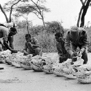 016_Po.BW.0082-07-EXTINCT-Black-Rhino-Skulls-&-SRT-Scouts-