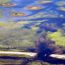 002_EnvF.1342-Floods-Zambezi-Road-&-Comms-Destruction