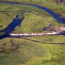 The Zambezi Floods