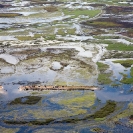 The Zambezi Floods