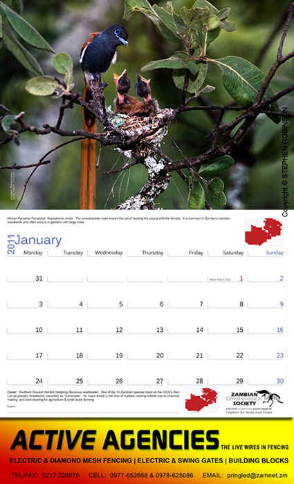 005_Page2+3-open-calendar-page-with-corporate-branding