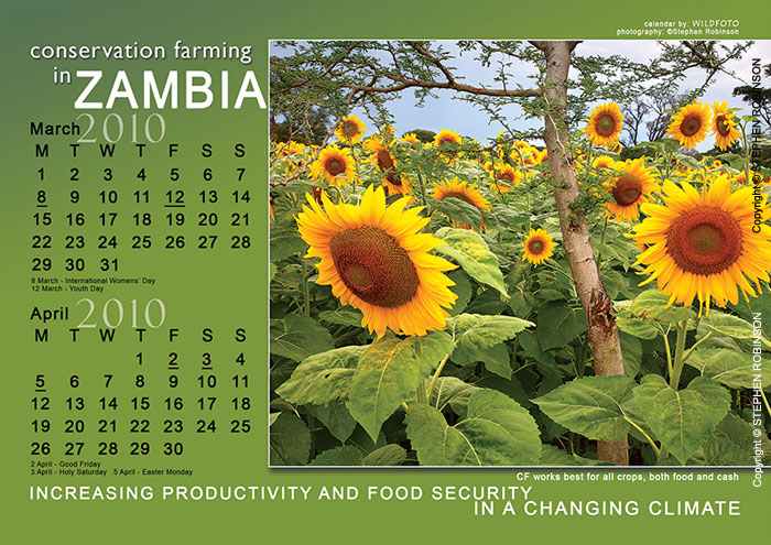 006-Agric-Project-Project-Wall-&-Desk-Calendars 2010