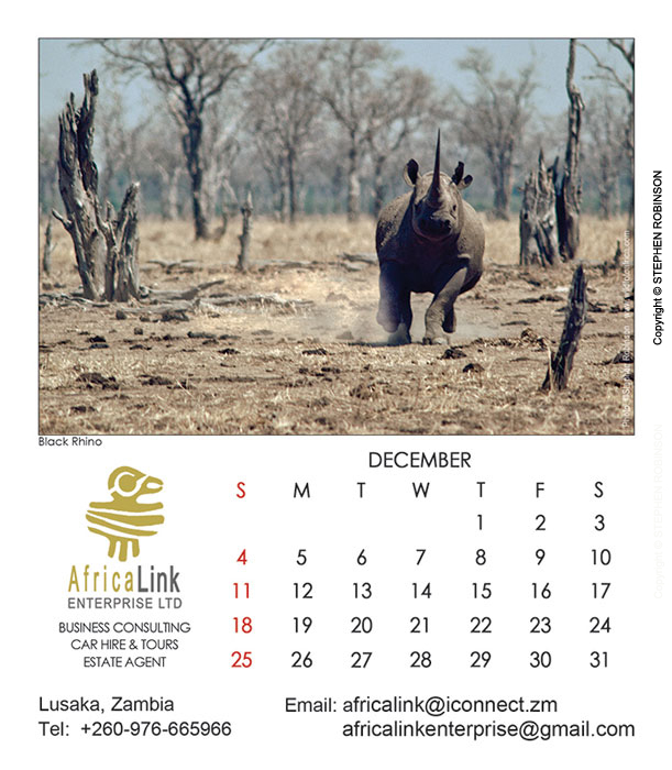 025_Artwork-Pg13-Dec-Black Rhino Charge