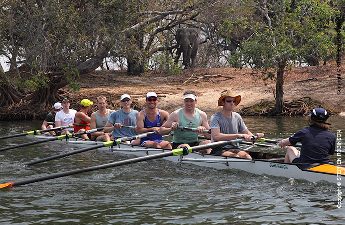 09_SZmR.9811-Rowing-&-Zambezi-Wildlife-Cambridge-Crew-&-Elephant