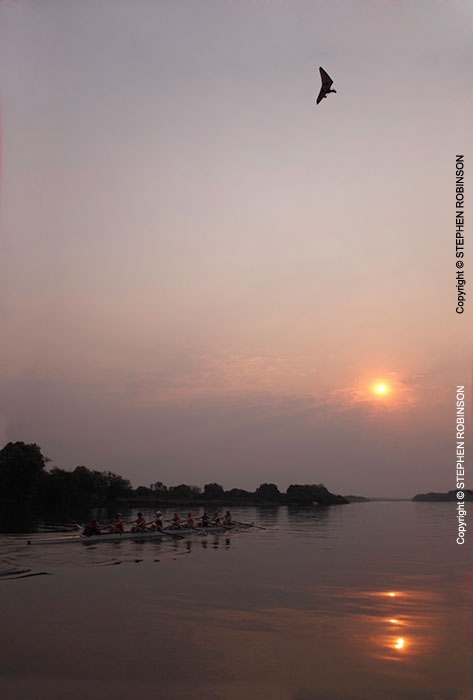 48_SZmR.9630V-Rowing-on-Zambezi-UJ-Ladies'-Eight-at-Sunset-&-Microlight