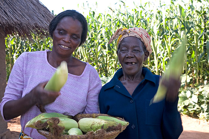 016_AgCF.0239-African-Conservation-Farming---Women-&-Maize-Zambia