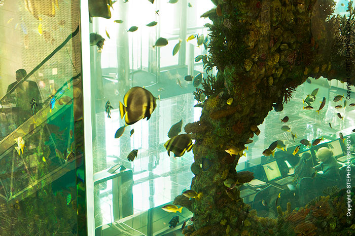 040_ArcUk.2999[revsd1]-Aquarium-Heron-Tower-London