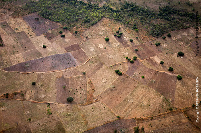 046_FTD.2636-Slash-&-Burn-Deforestation-for-Trad-Farming-Zambia