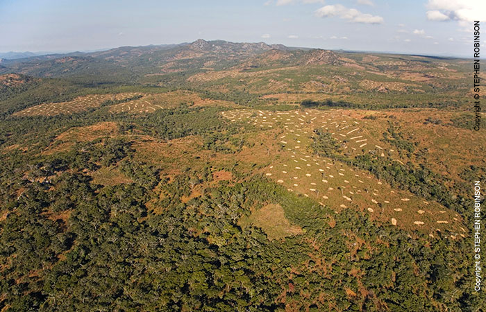 068_FTD.2775-Slash-&-Burn-Deforestation-for-Trad-Farming-Zambia