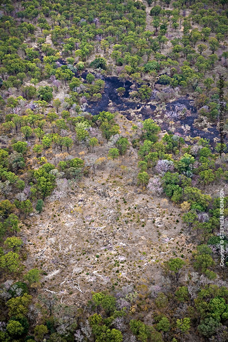 069_FTD.3029V-Slash-&-Burn-Deforestation-for-Trad-Farming-Zambia