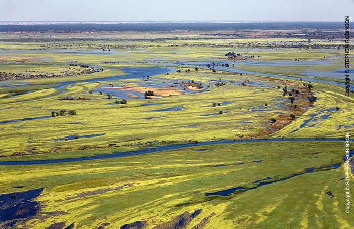 081_LZmW.1405-Zambezi-Floodplain-aerial-Zambia
