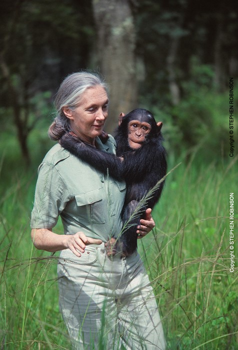 002_MApCG_19V-Jane-Goodall-carrying-young-chimpanzee