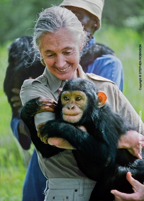 006_MApCG_12V-Jane-Goodall-hugging-young-chimp