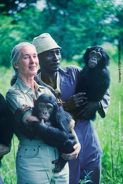 007_MApCG_68V-Jane-Goodall-with-African-sanctuary-worker-&-young-chimpanzees