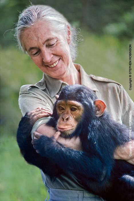 008_MApCG_13V[r6]-Jane-Goodall-hugging-young-chimpanzee
