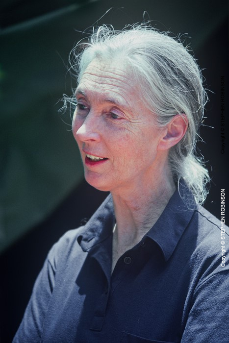 012_MApCG_77V-Jane-Goodall-portrait-in-Africa