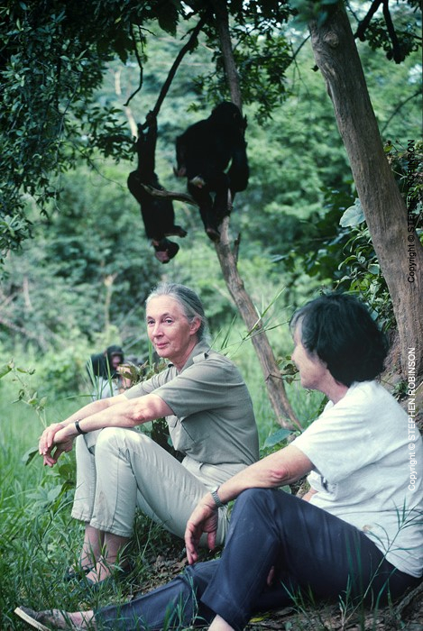 021_MApCG_68AV-Jane-Goodall-with-Sheila-Siddle-&-chimpanzees