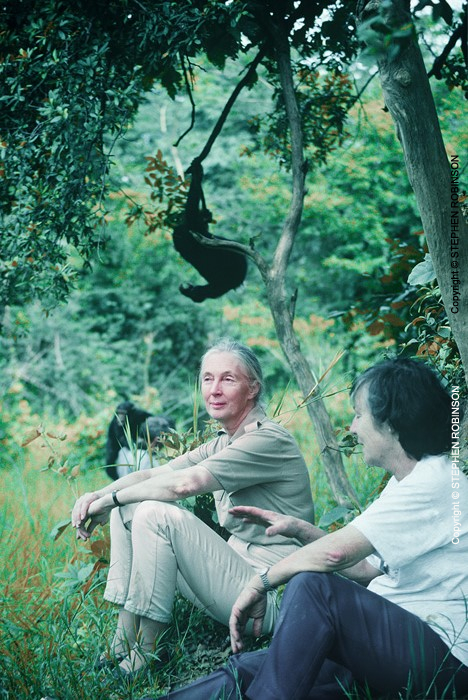 022_MApCG_69V-Jane-Goodall-with-Sheila-Siddle-&-chimpanzees