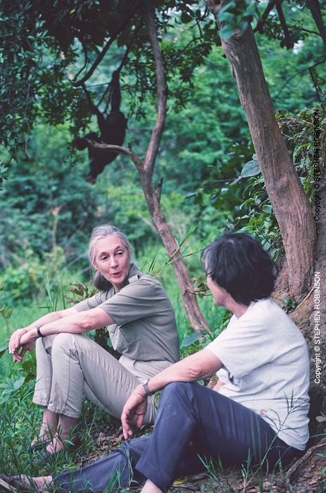 023_MApCG_73V-Jane-Goodall-with-Sheila-Siddle-with-chimpanzee