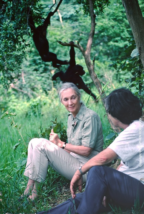 024_MApCG_62V-Jane-Goodall-with-Sheila-Siddle-&-chimpanzees