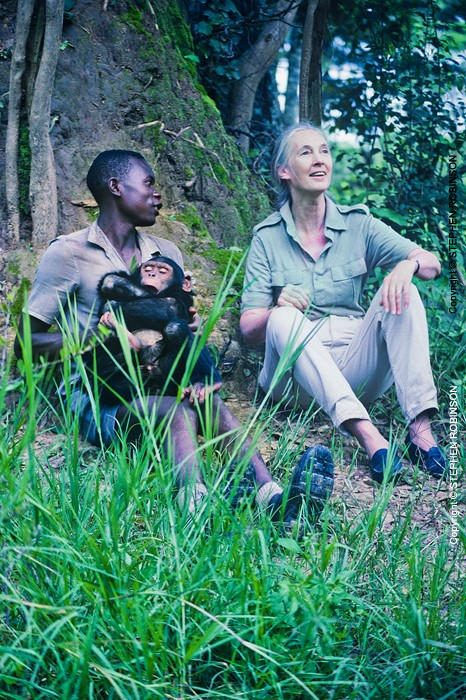 042_MApCG_48V-Jane-Goodall-with-African-sanctuary-worker-&-young-chimpanzee