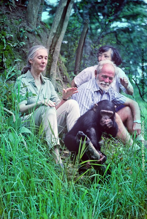 043_MApCG_54V-Jane-Goodall-with-Siddles-&-young-chimpanzee