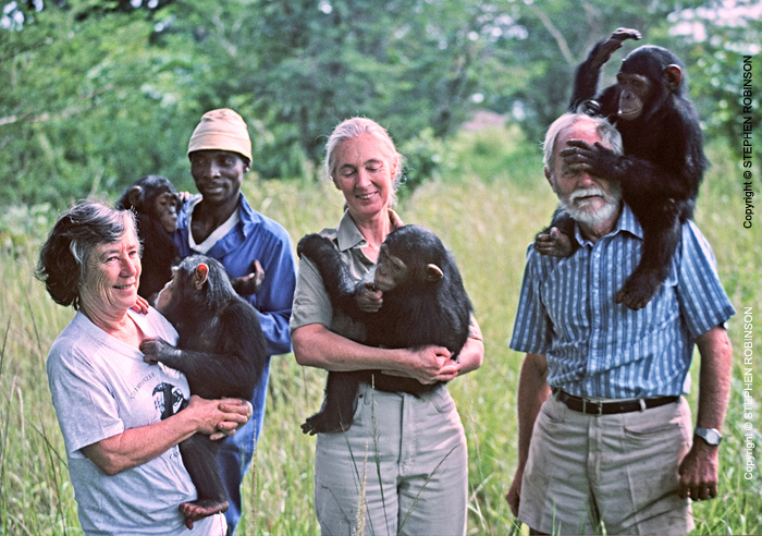 048_MApCG_60-Jane-Goodall-with-Siddles,-African-carer-and-young-chimpanzees