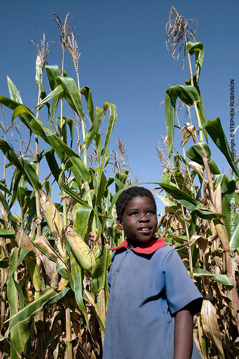 027_AgCF.0543V-Cons-Farmer's-Child-&-Maize-Zambia