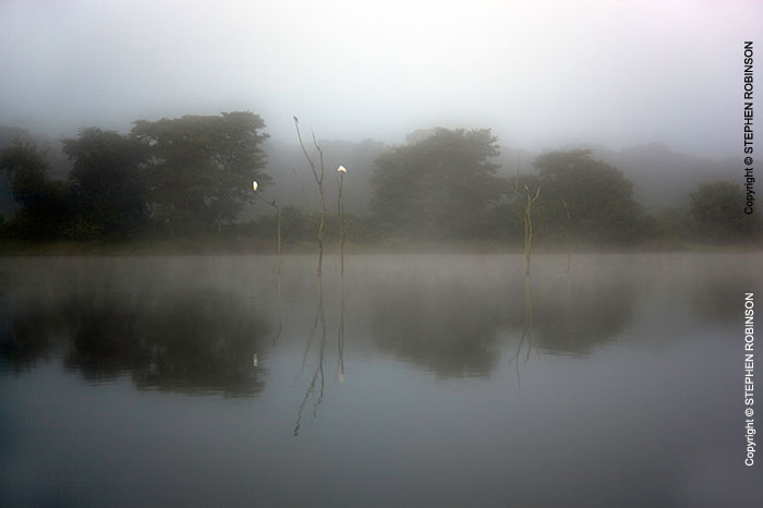 012_LZmCb.6122-Morning-Mist-over-Water#2-N-Zambia