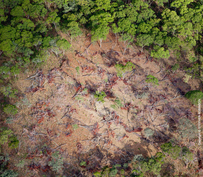 030_FTD.2566[rev2]-Slash-&-Burn-Deforestation-Zambia-aerial